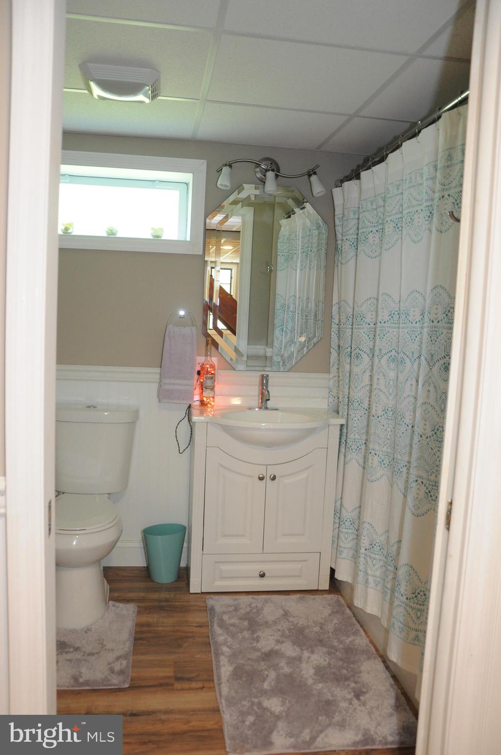 845 Red Toad Road North East, MD 21901 - Photo 24 of 36 Bathroom in basement