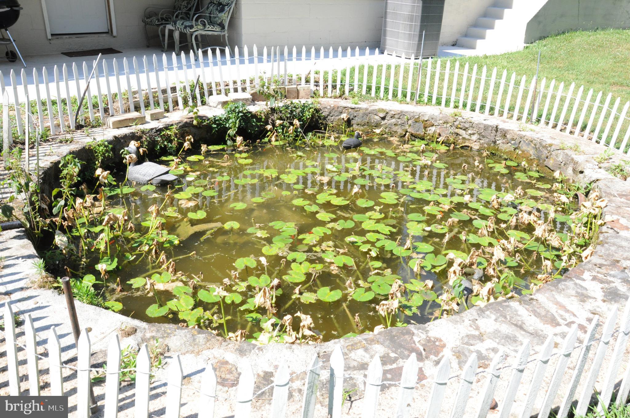 845 Red Toad Road North East, MD 21901 - Photo 30 of 36 large pond w/ goldfish