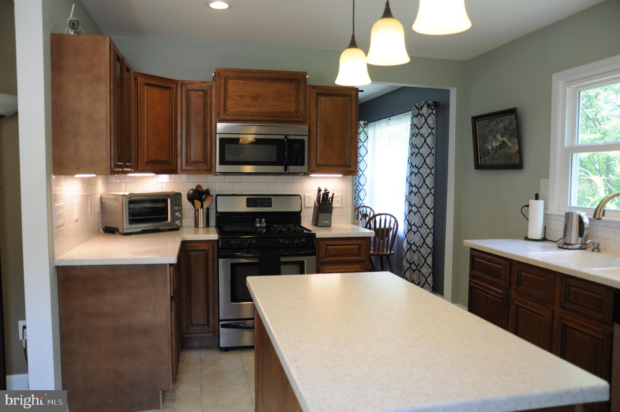 845 Red Toad Road North East, MD 21901 - Photo 5 of 36 Gorgeous kitchen with custom cabinets
