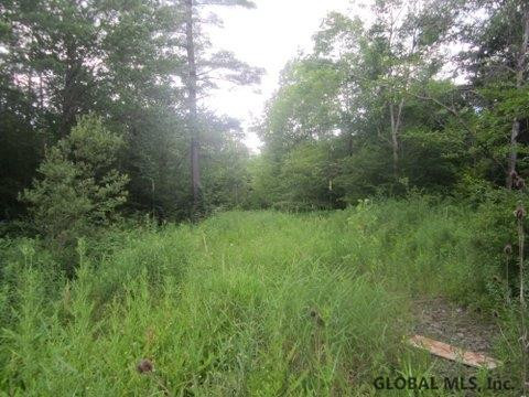 Mudge Road Delanson, NY 12053 - Photo 1 of 18 Photo 1