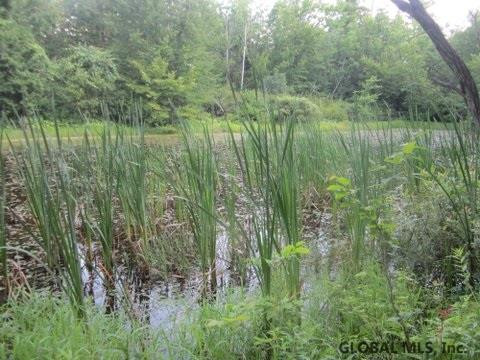 Mudge Road Delanson, NY 12053 - Photo 11 of 18 Photo 14