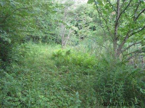 Mudge Road Delanson, NY 12053 - Photo 12 of 18 Photo 16