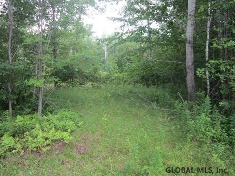 Mudge Road Delanson, NY 12053 - Photo 14 of 18 Photo 19