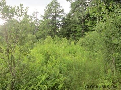Mudge Road Delanson, NY 12053 - Photo 15 of 18 Photo 20