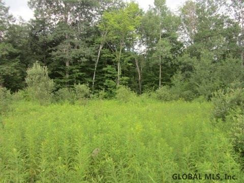Mudge Road Delanson, NY 12053 - Photo 16 of 18 Photo 21