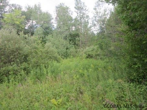 Mudge Road Delanson, NY 12053 - Photo 17 of 18 Photo 22