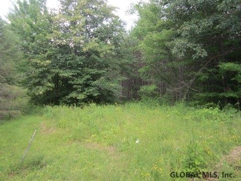 Mudge Road Delanson, NY 12053 - Photo 18 of 18 Photo 23