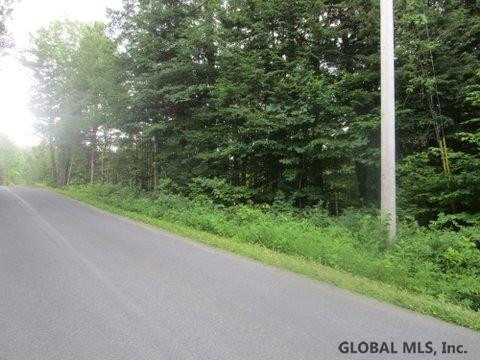 Mudge Road Delanson, NY 12053 - Photo 2 of 18 Photo 2