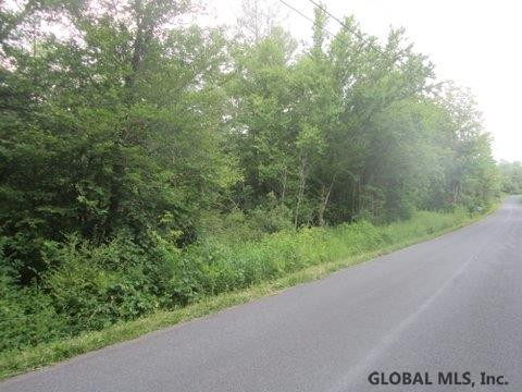 Mudge Road Delanson, NY 12053 - Photo 3 of 18 Photo 3