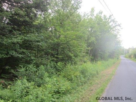 Mudge Road Delanson, NY 12053 - Photo 4 of 18 Photo 5