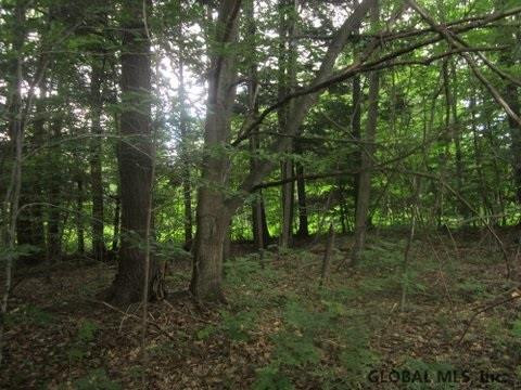 Mudge Road Delanson, NY 12053 - Photo 5 of 18 Photo 7