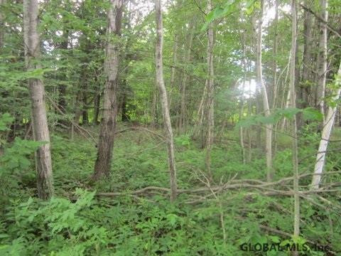 Mudge Road Delanson, NY 12053 - Photo 6 of 18 Photo 9