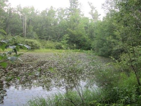 Mudge Road Delanson, NY 12053 - Photo 7 of 18 Photo 10