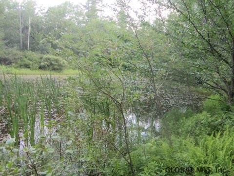Mudge Road Delanson, NY 12053 - Photo 8 of 18 Photo 11