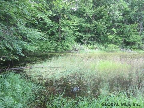 Mudge Road Delanson, NY 12053 - Photo 9 of 18 Photo 12