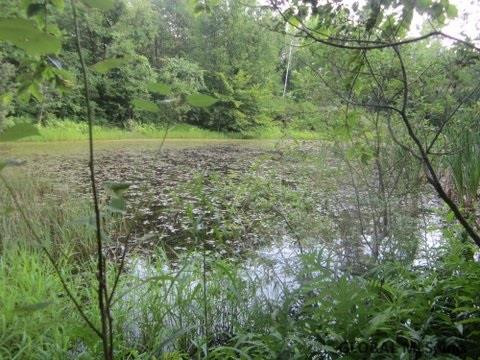 Mudge Road Delanson, NY 12053 - Photo 10 of 18 Photo 13