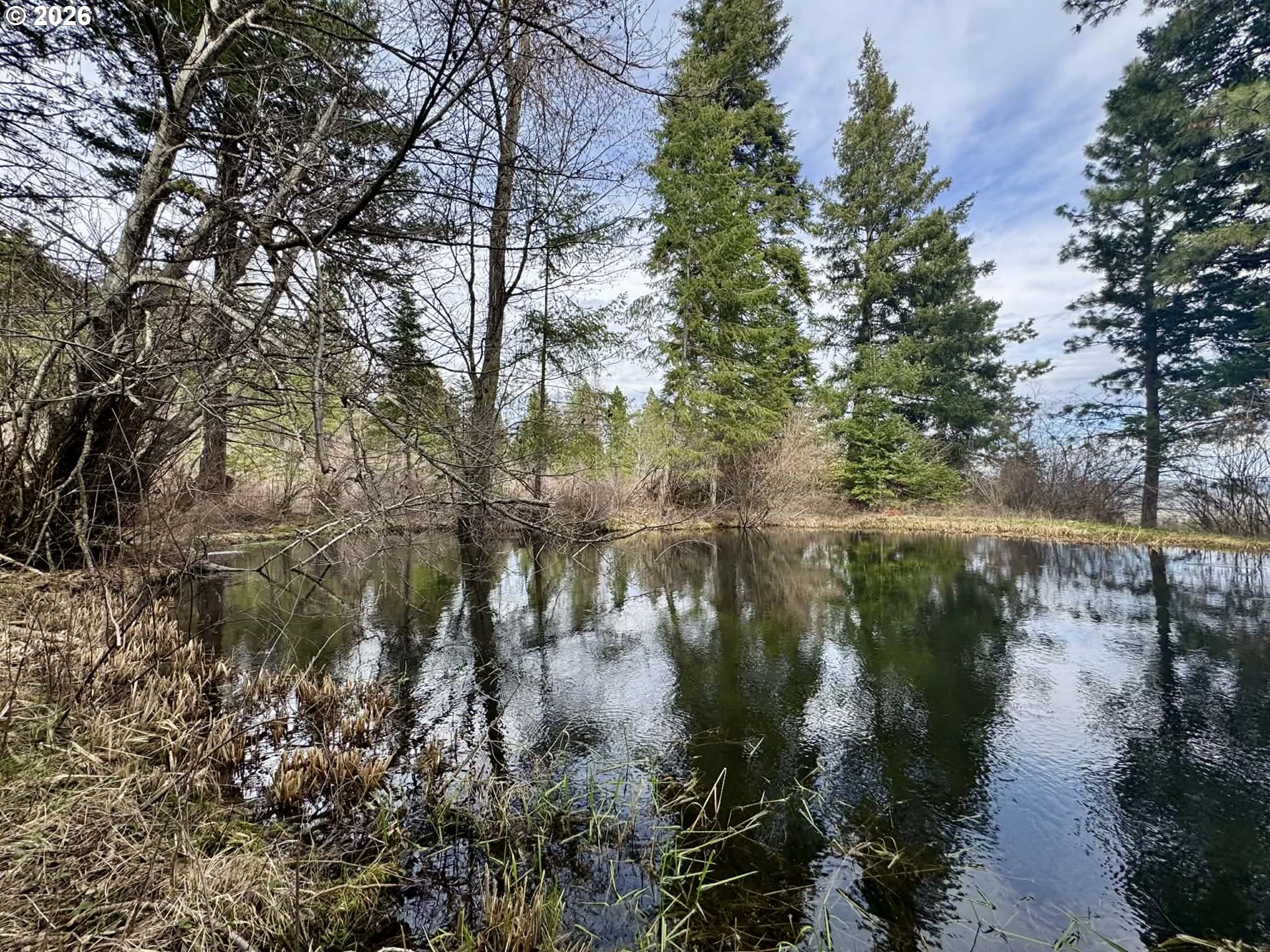 67086 Happy Walrus Road Summerville, OR 97876 - Photo 41 of 48