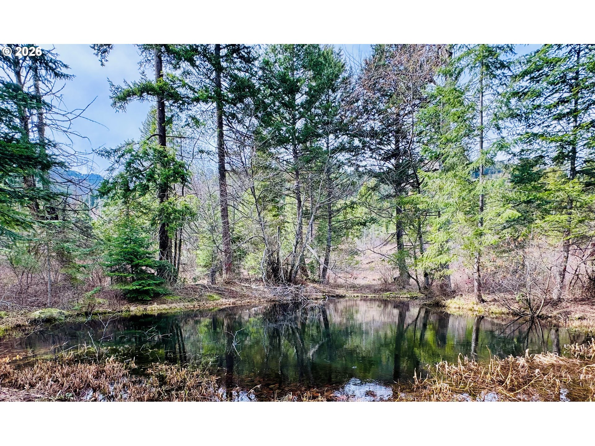 67086 Happy Walrus Road Summerville, OR 97876 - Photo 42 of 48