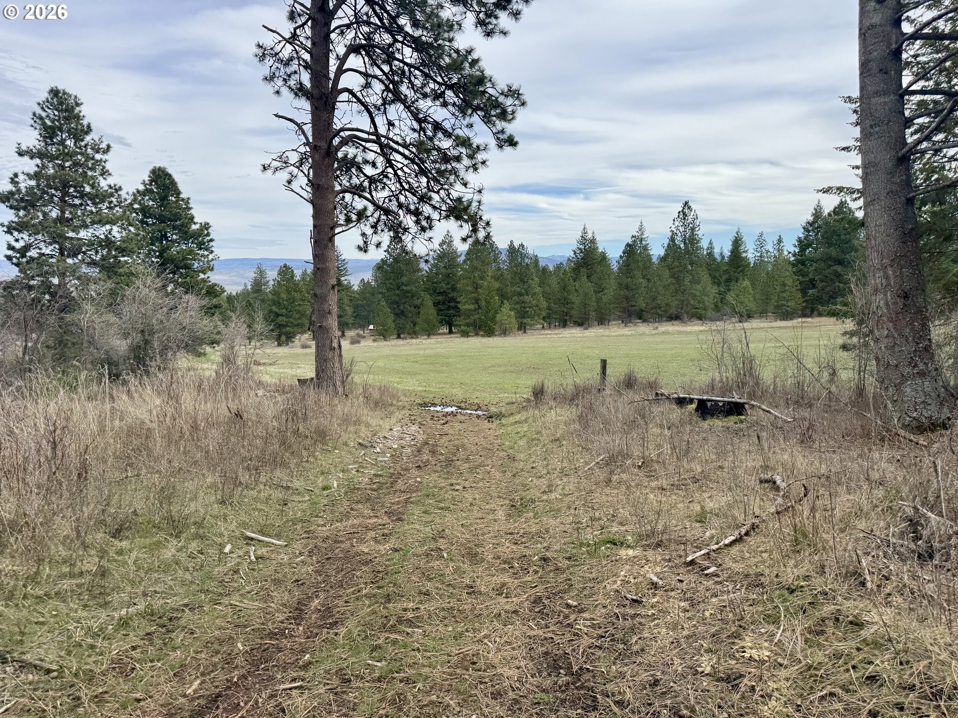 67086 Happy Walrus Road Summerville, OR 97876 - Photo 44 of 48