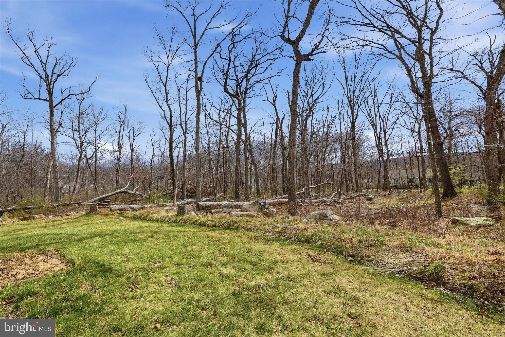 145 Graywolf Trail Winchester, VA 22602 - Photo 43 of 56 Backyard