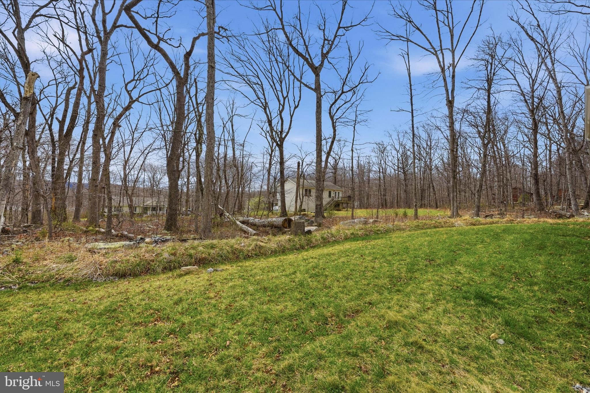 145 Graywolf Trail Winchester, VA 22602 - Photo 47 of 56 a view of yard with tree