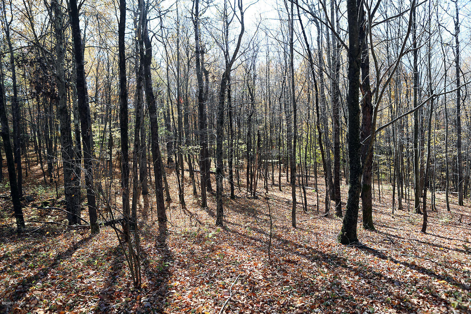 0 Bush Road Equinunk, PA 18417 - Photo 23 of 48 314A3195