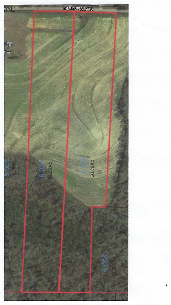 0 Cecil Varnum Road Dothan, AL 36301 - Photo 4 of 4