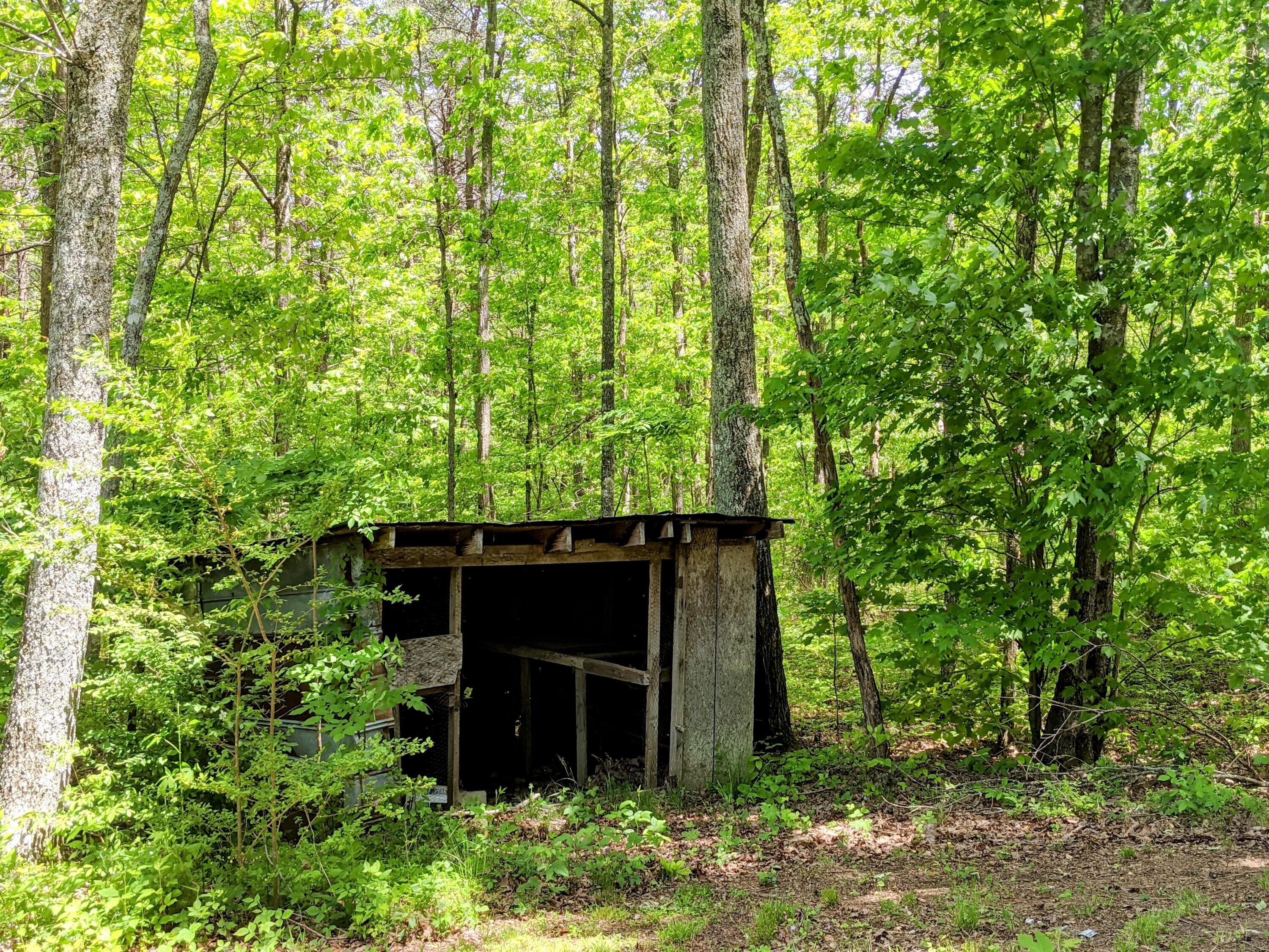 768 Monteagle Falls Road Monteagle, TN 37356 - Photo 27 of 50 MVIMG_20210521_134450~2