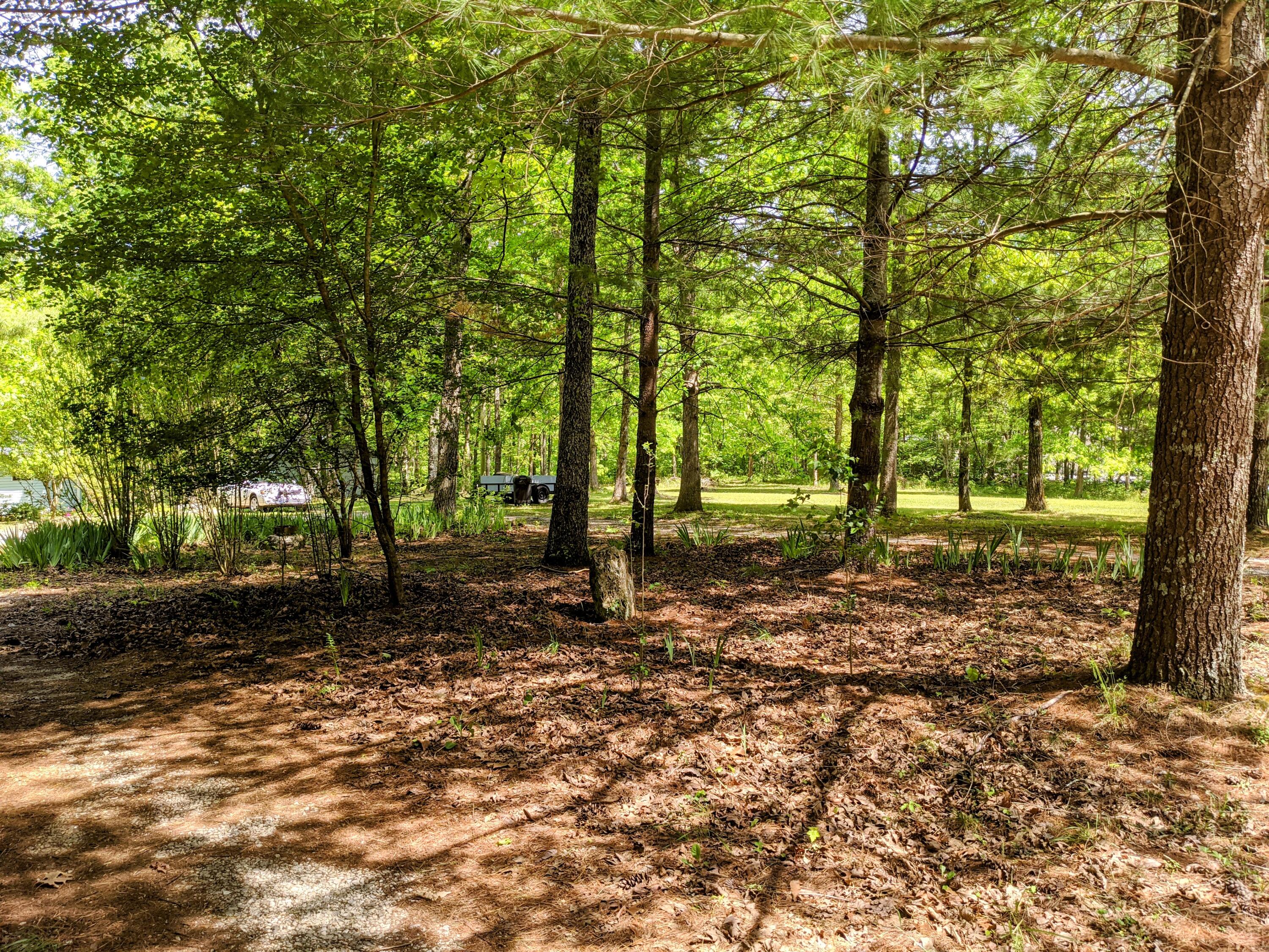768 Monteagle Falls Road Monteagle, TN 37356 - Photo 50 of 50 IMG_20210521_141812~2
