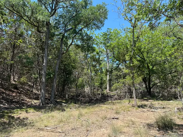 $484,000 | 106 East Mari-b Drive, Center Point, TX 78010