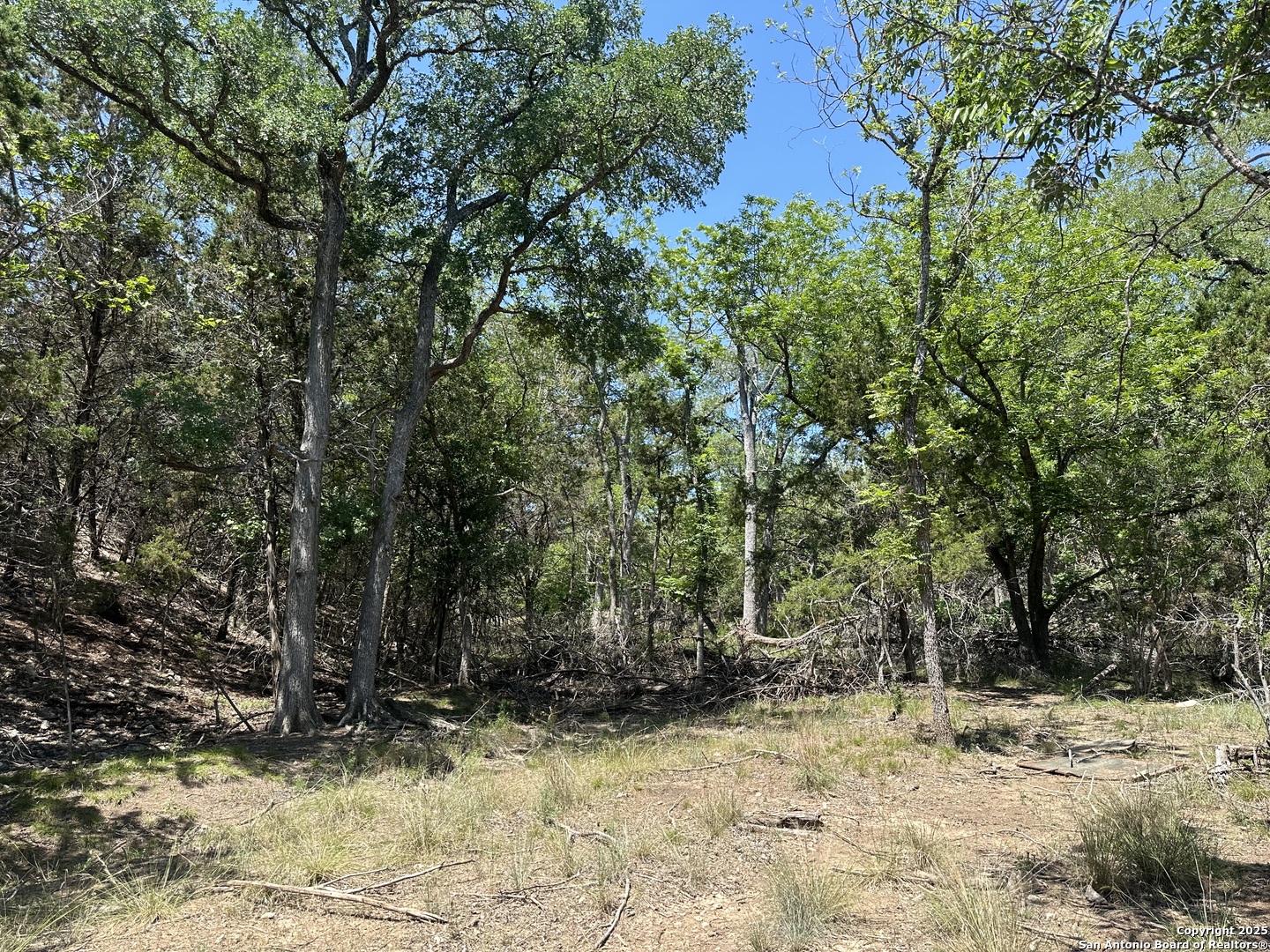 106 East Mari-b Drive Center Point, TX 78010 - Photo 17 of 26