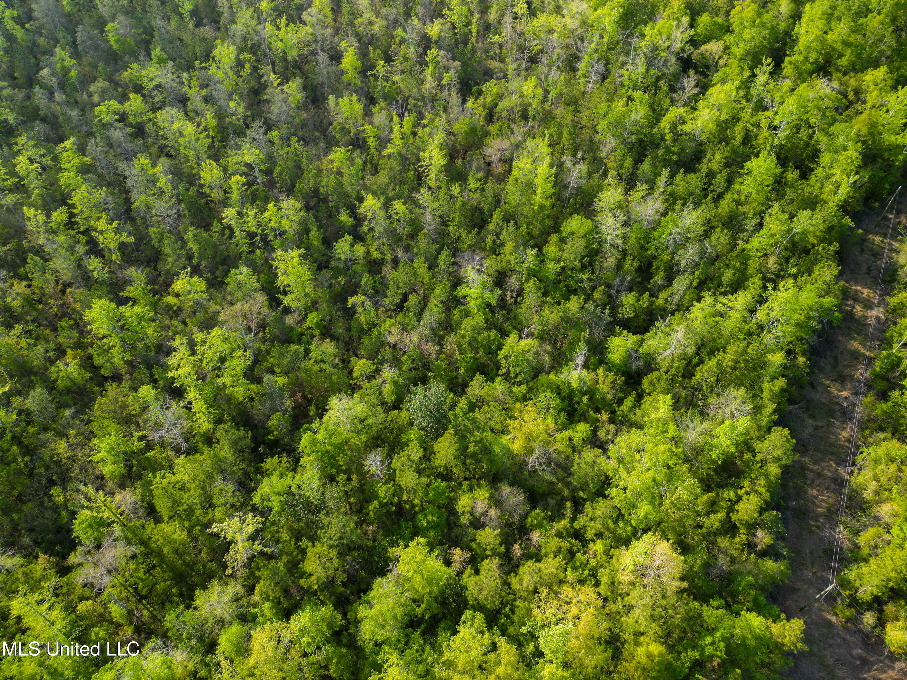 Miller Road Lucedale, MS 39452 - Photo 3 of 10 Tract1-3