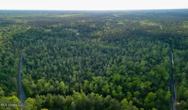 $125,970 | Miller Road, Lucedale, MS 39452