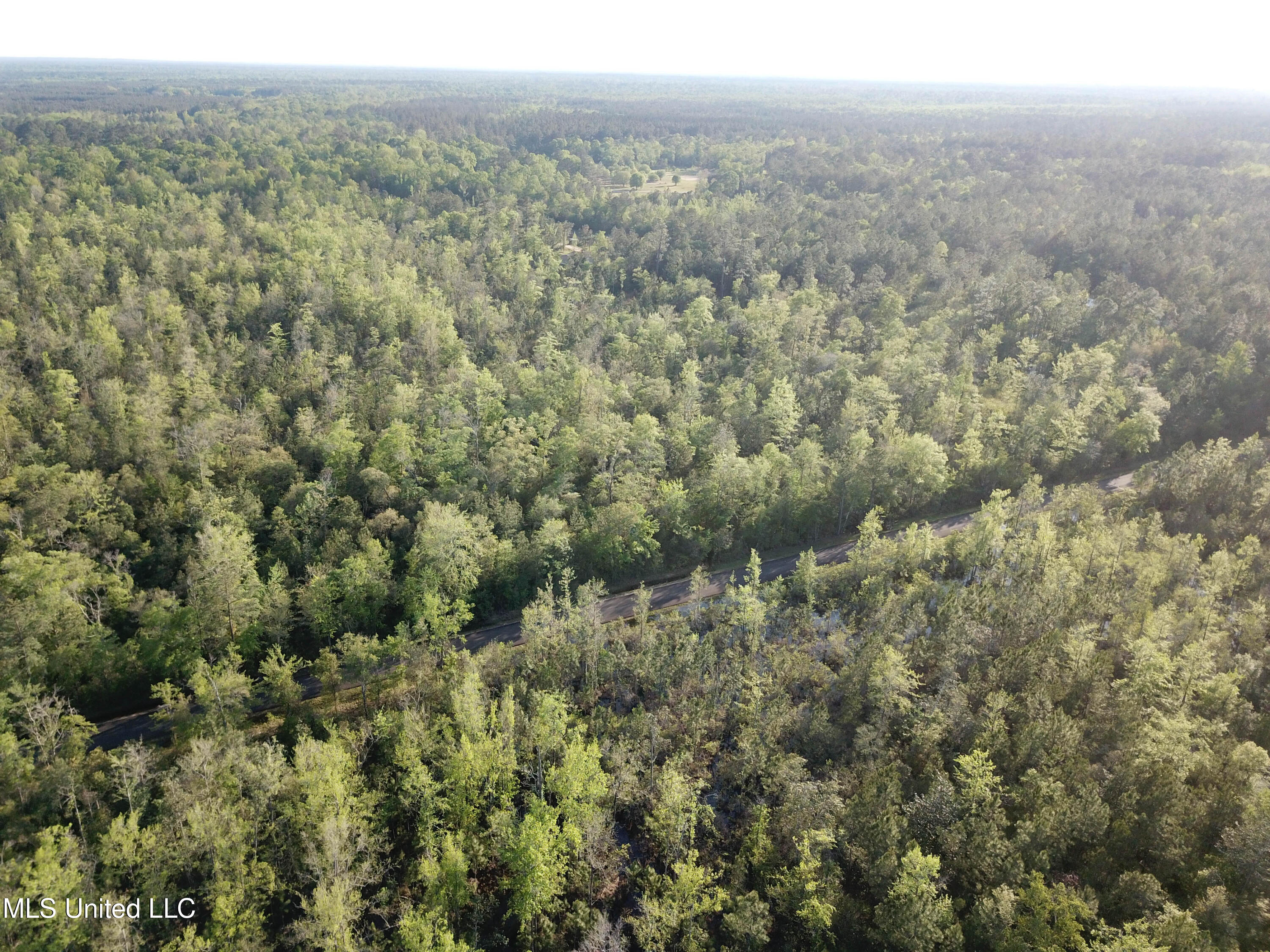 Miller Road Lucedale, MS 39452 - Photo 5 of 10 Tract1-5