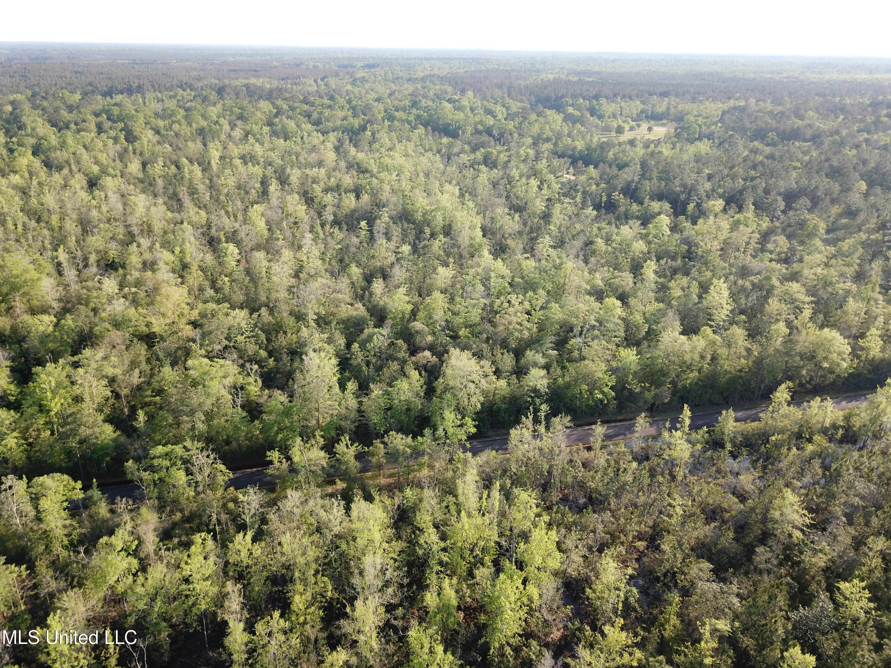 Miller Road Lucedale, MS 39452 - Photo 6 of 10 Tract1-6