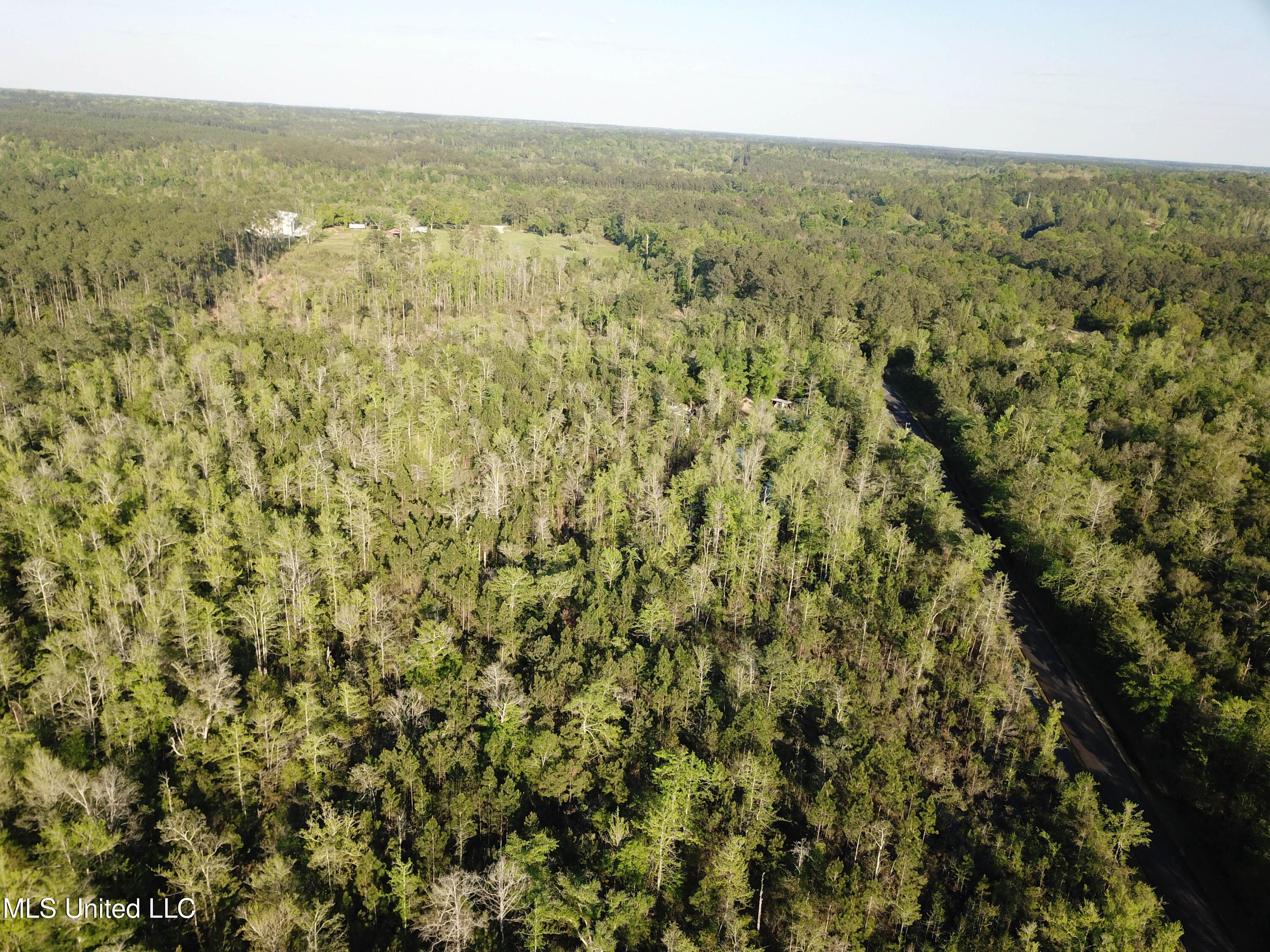 Miller Road Lucedale, MS 39452 - Photo 7 of 10 Tract1-7