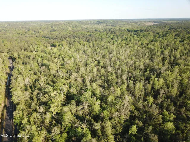 $125,970 | Miller Road, Lucedale, MS 39452