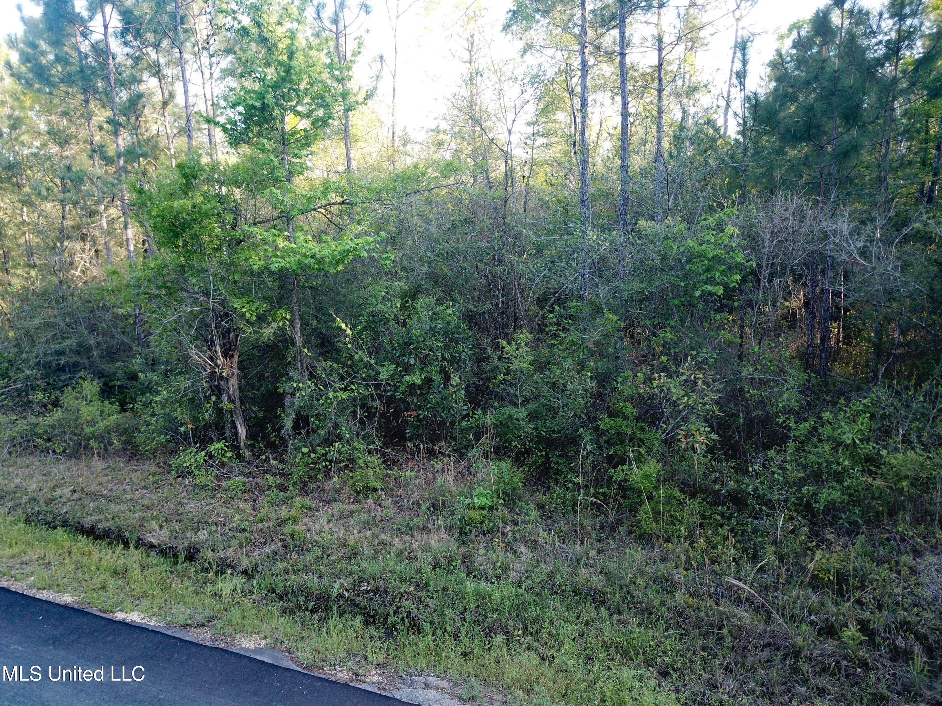 Miller Road Lucedale, MS 39452 - Photo 10 of 10 Tract1-10