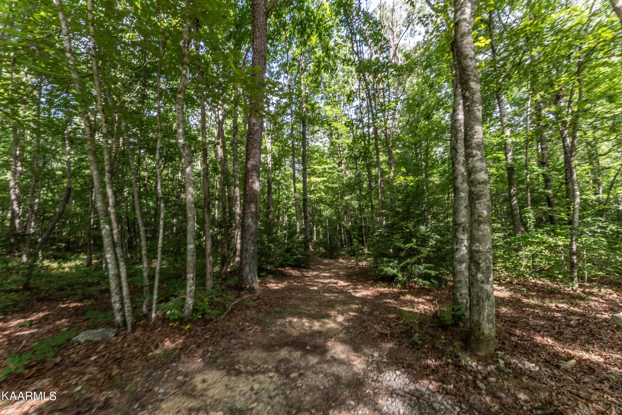 1912 Indian Park Road Monterey, TN 38574 - Photo 45 of 60 Gallery Image 45