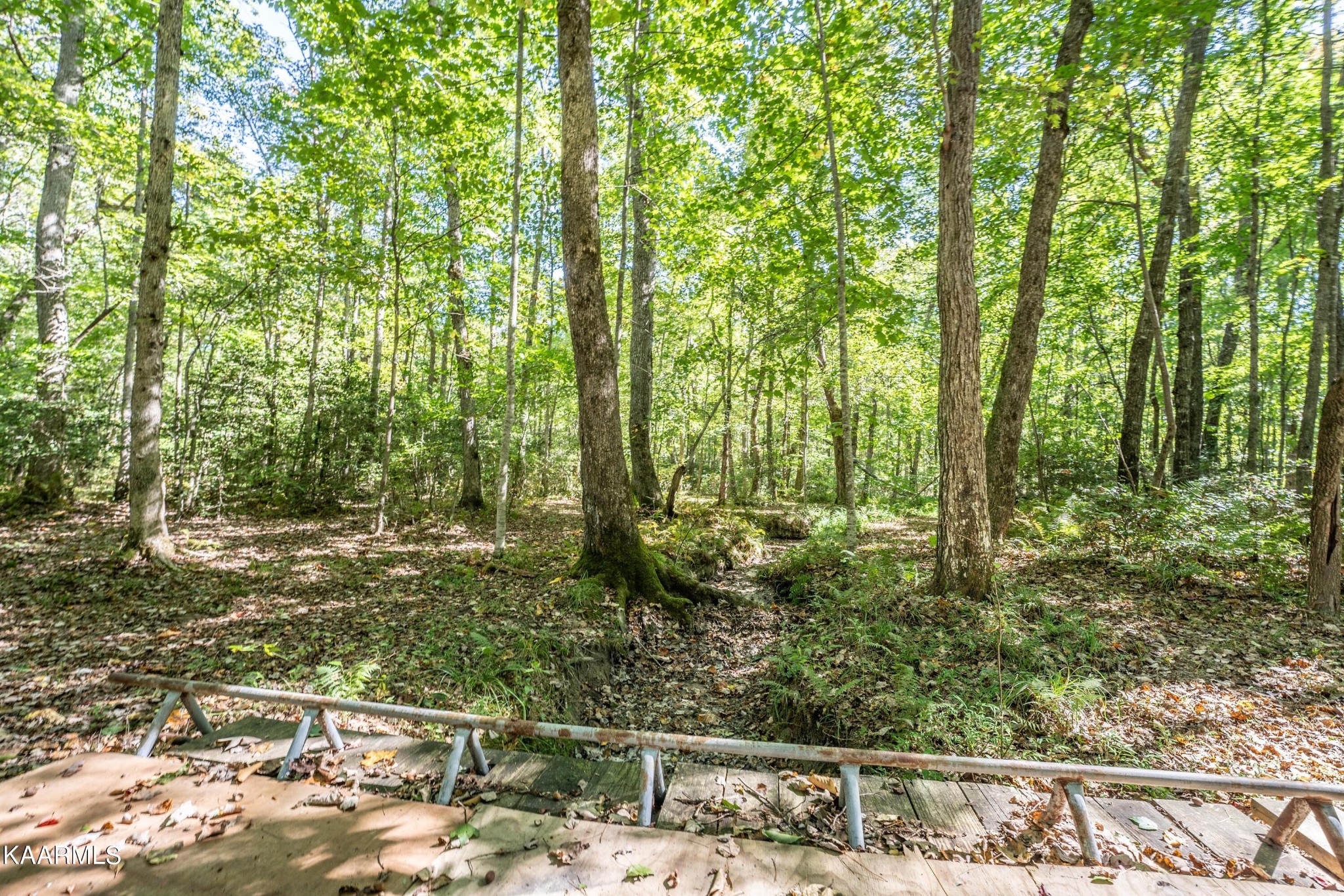 1912 Indian Park Road Monterey, TN 38574 - Photo 52 of 60 Gallery Image 52
