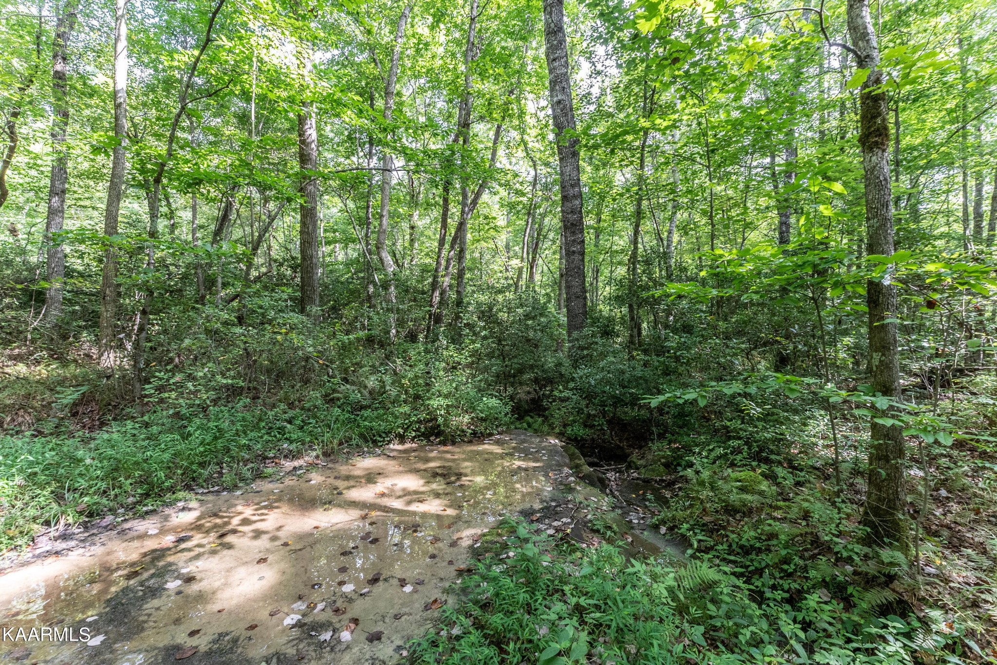 1912 Indian Park Road Monterey, TN 38574 - Photo 53 of 60 Gallery Image 53