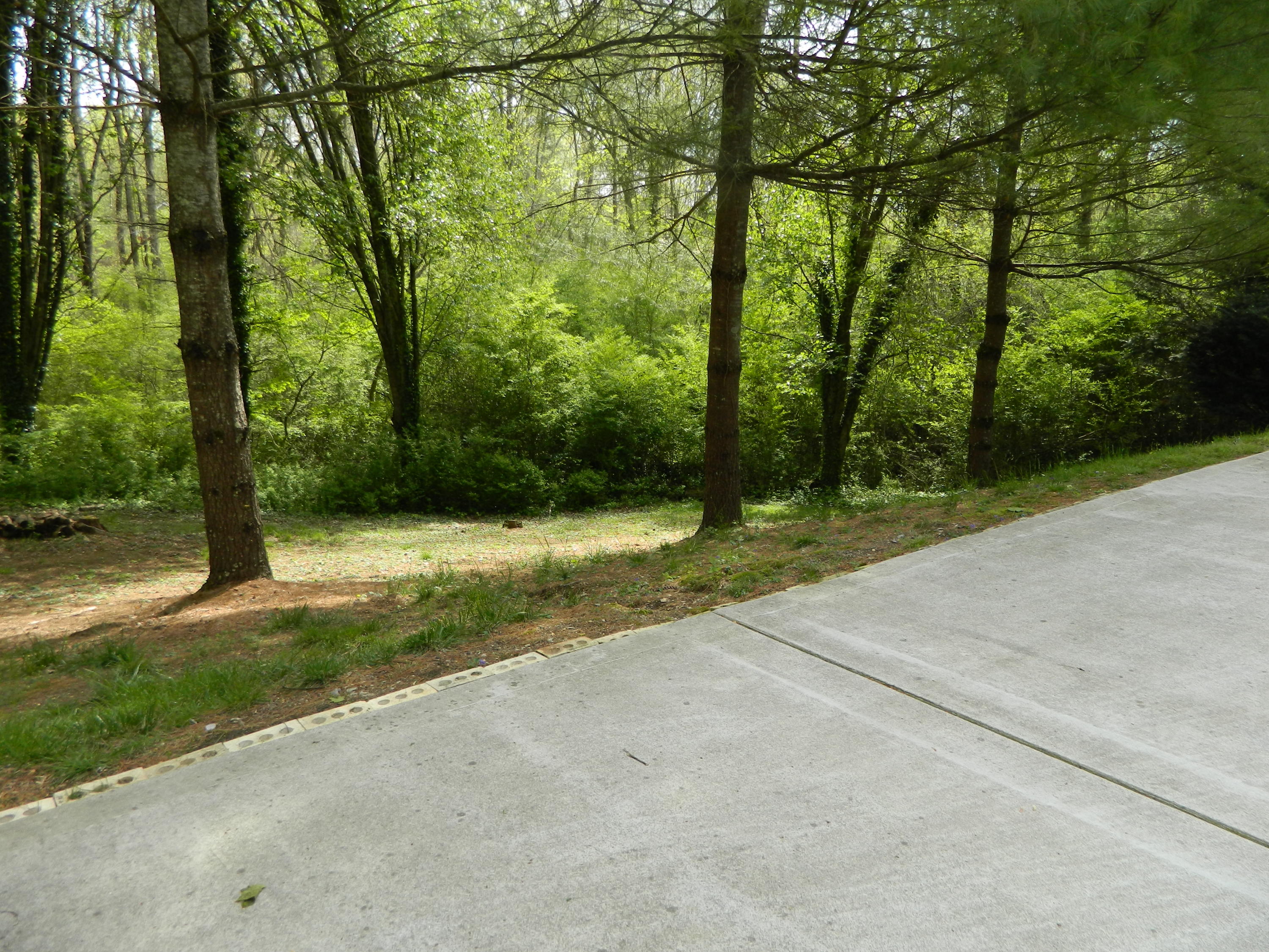 105 Newridge Road Oak Ridge, TN 37830 - Photo 9 of 29 DSCN3728