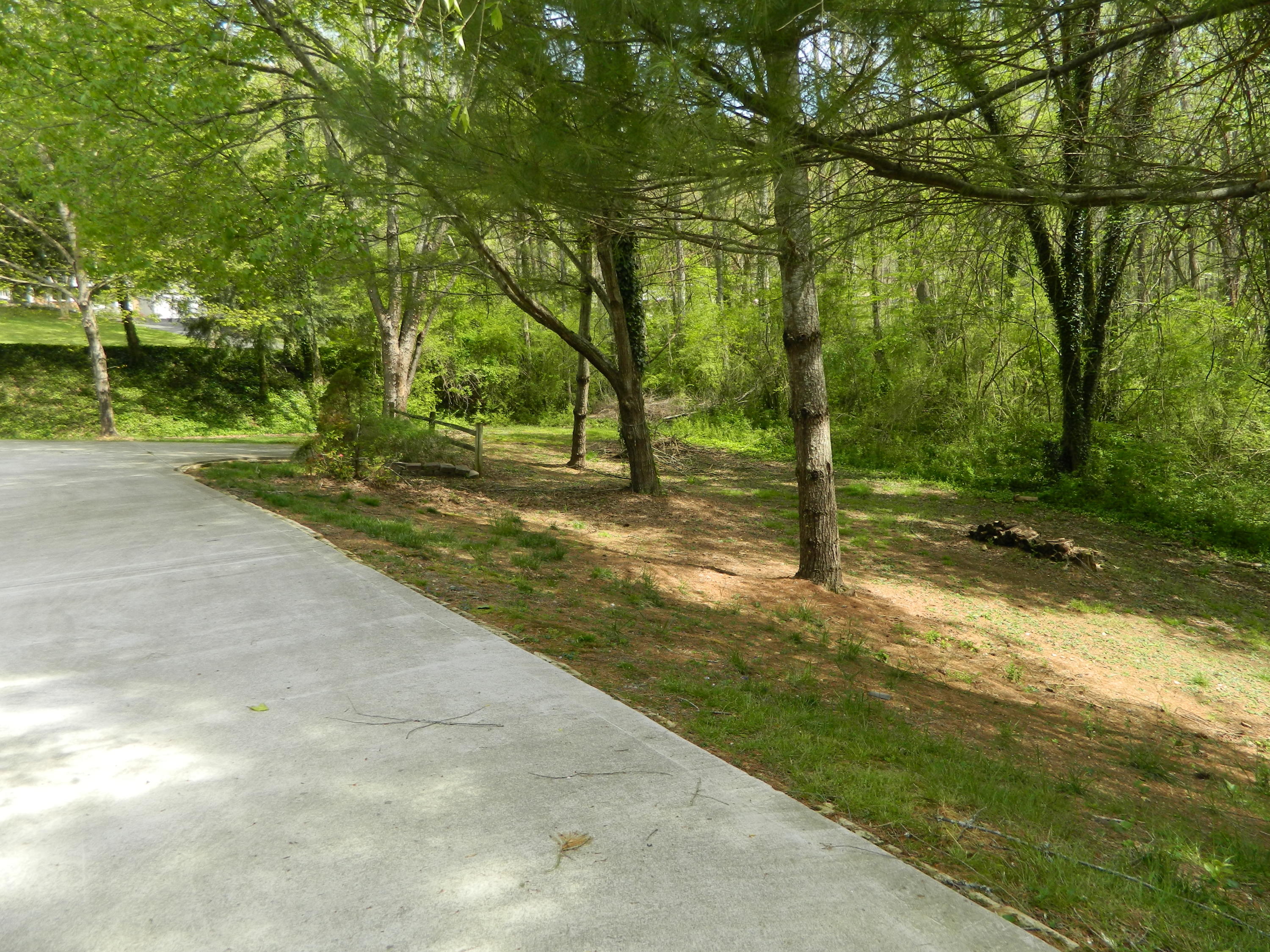105 Newridge Road Oak Ridge, TN 37830 - Photo 10 of 29 DSCN3730