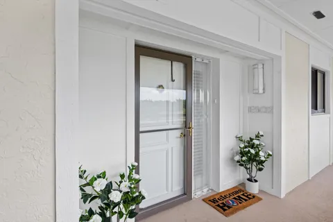 a plant room with wooden floor and a potted plant