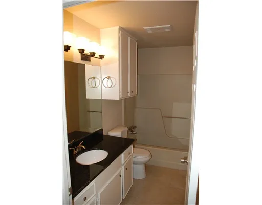 a bathroom with a sink and a toilet