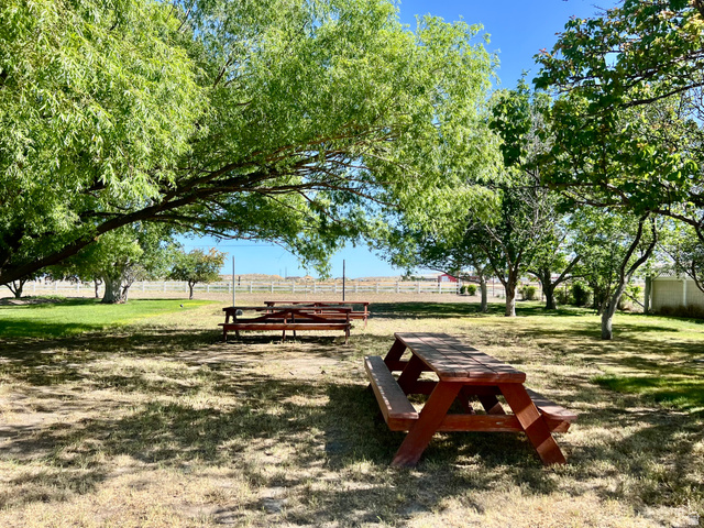 812 East Bates Cyn Road Tooele, UT 84074 - Photo 106 of 144 Expansive outdoor space featuring mature trees providing shade, two wooden picnic tables, and a partial white fence in the background