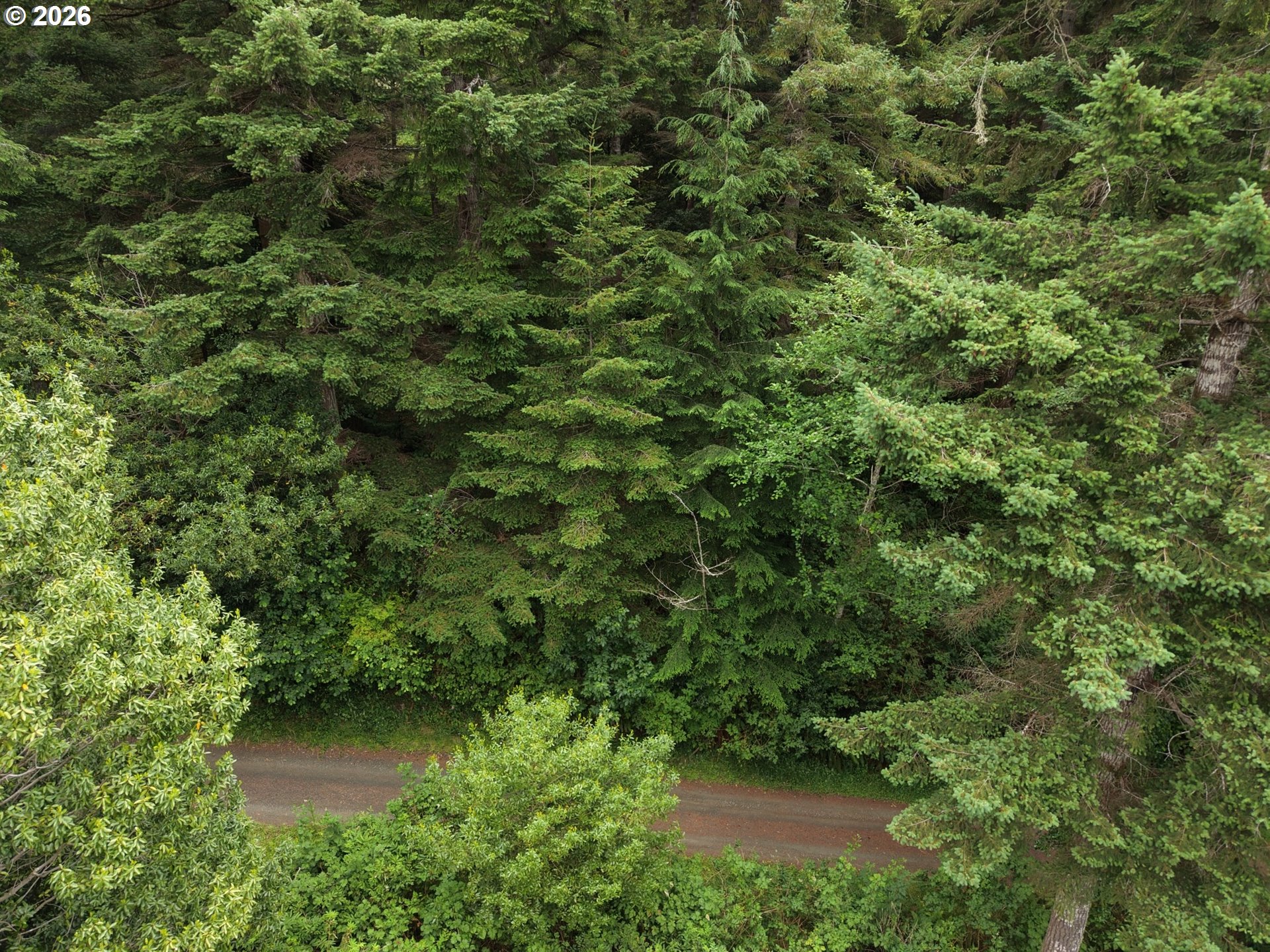 0 Misty Ridge Lane North Bend, OR 97459 - Photo 9 of 12