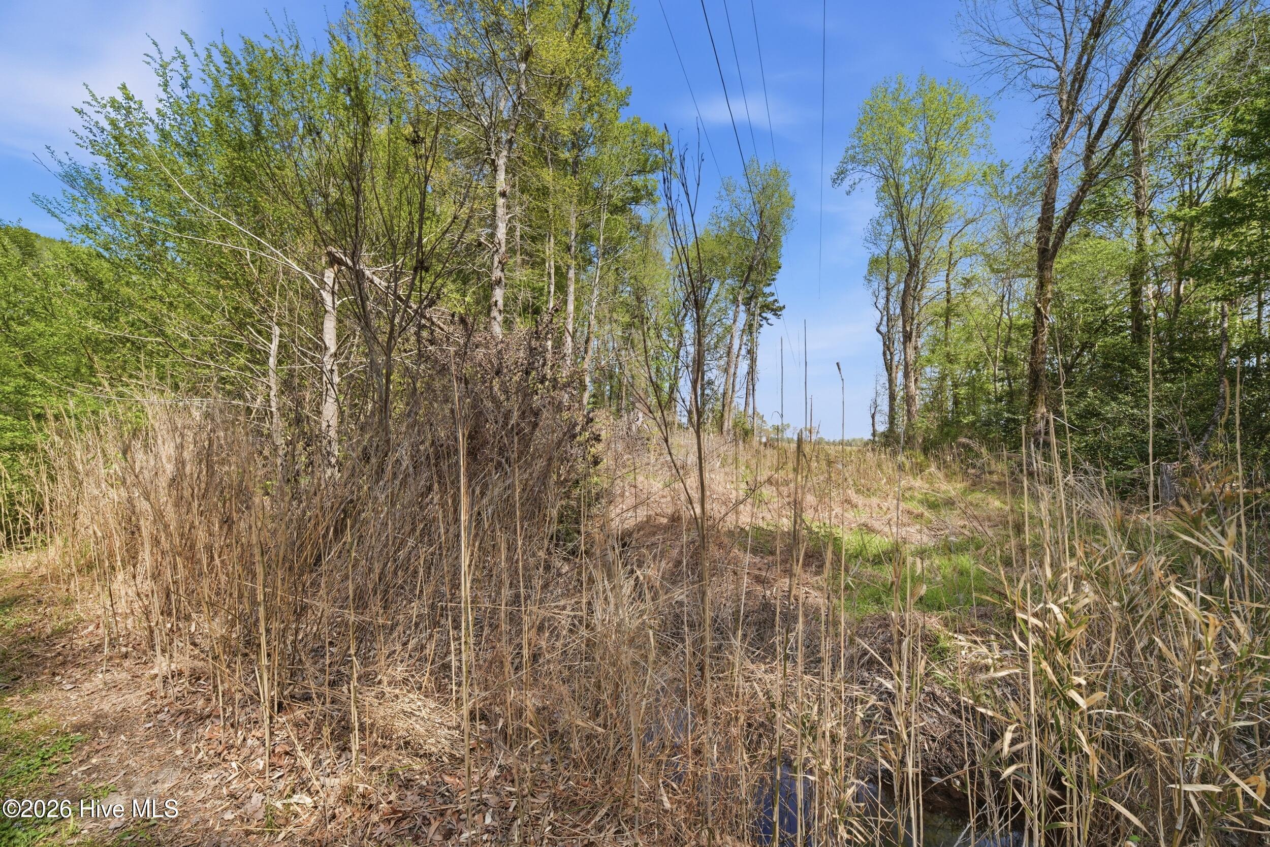 594 Drum Hill Road Gates, NC 27937 - Photo 37 of 42 42_035_dsc05473
