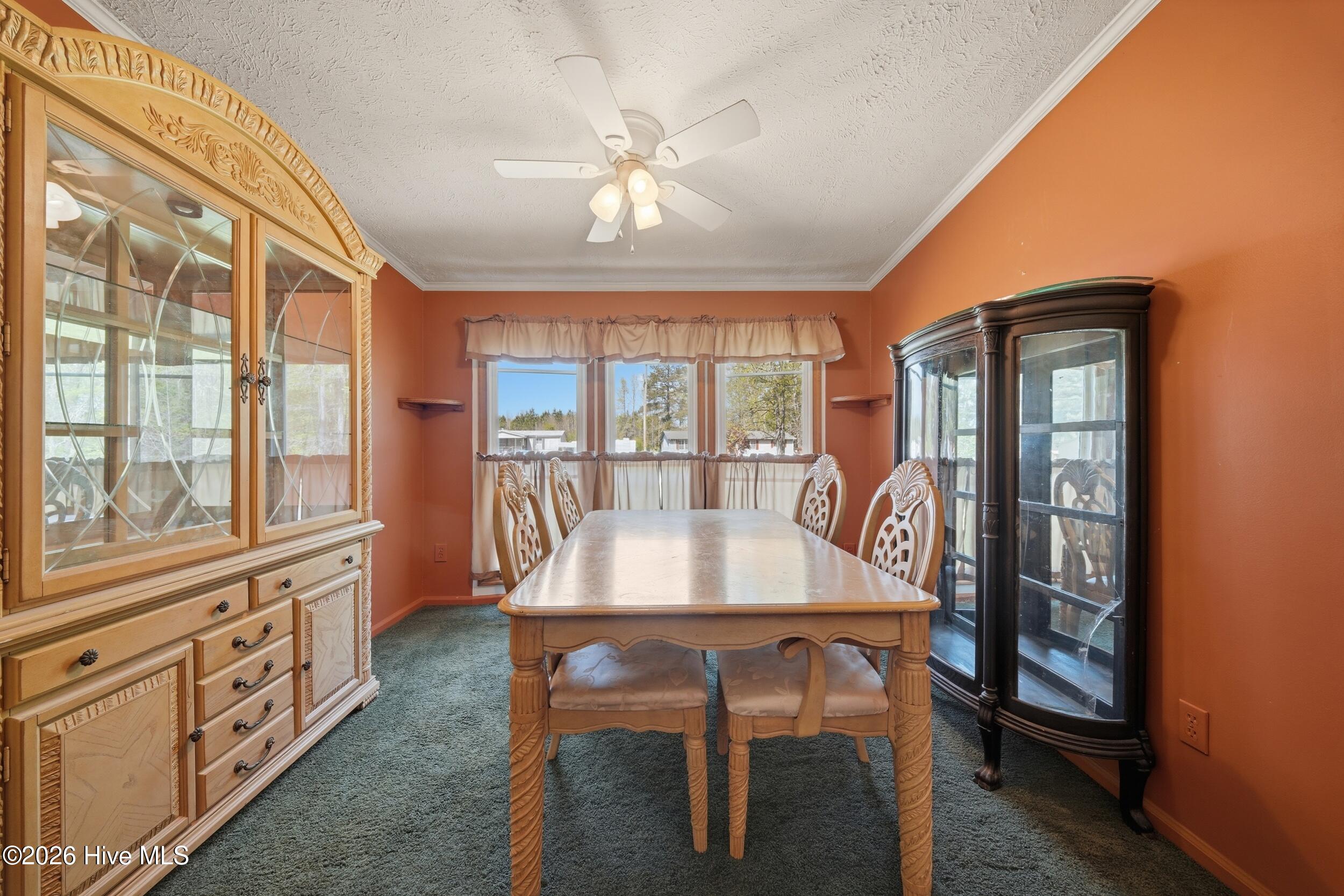 594 Drum Hill Road Gates, NC 27937 - Photo 10 of 42 10_010_dsc05440