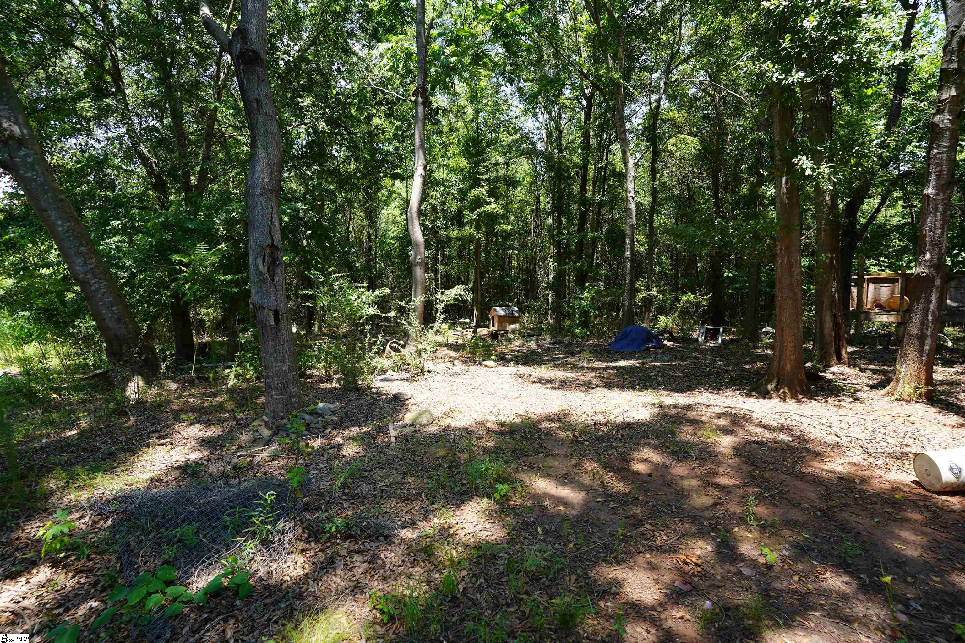 154 Dogwood Road Townville, SC 29689 - Photo 5 of 5